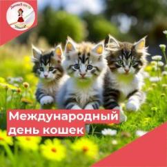 "Международный день кошек"